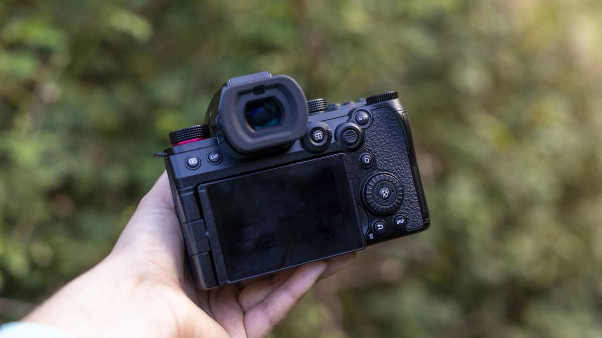 Panasonic Lumix G9 II review: a superb wildlife camera | TechRadar