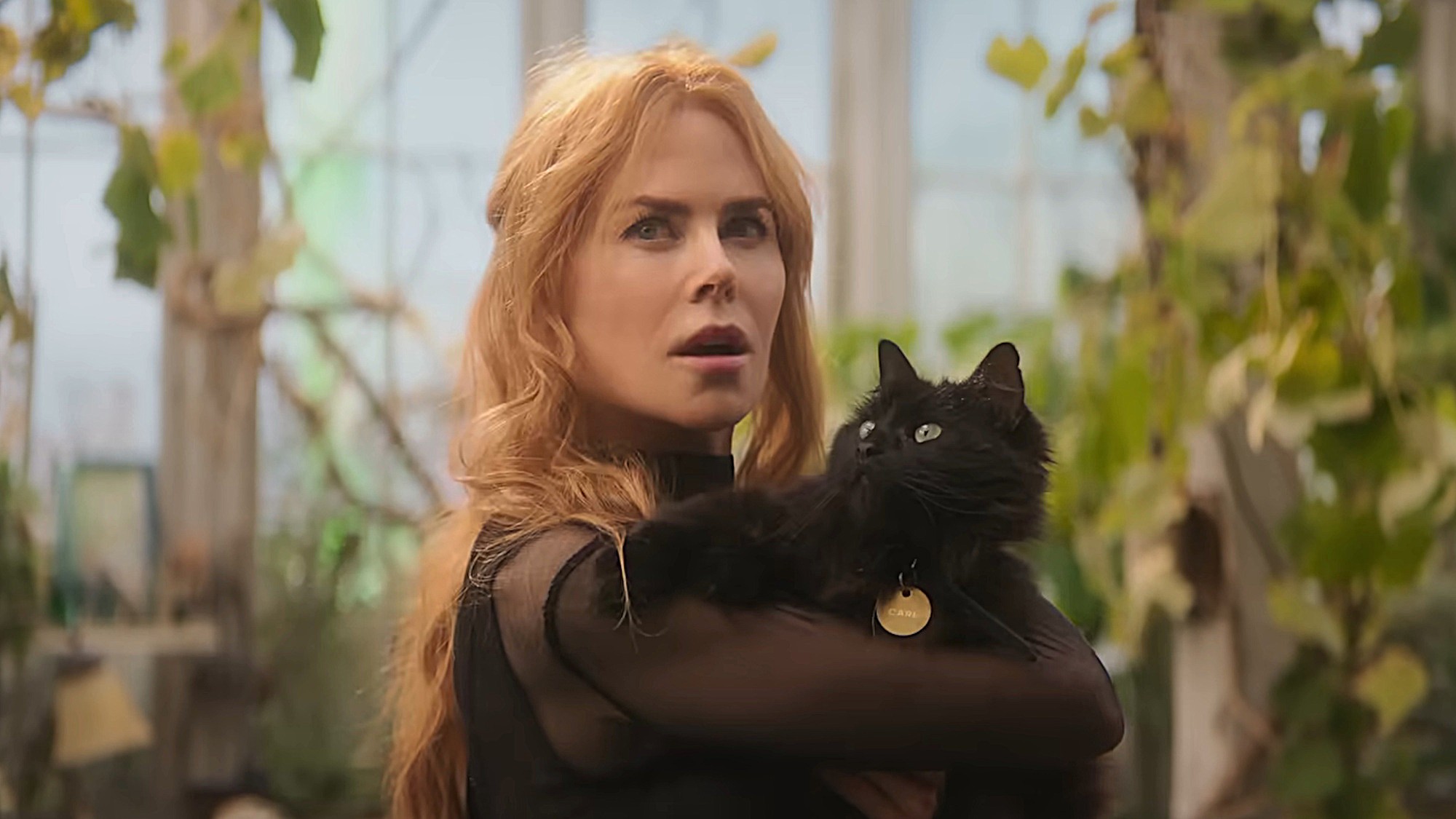 Nicole Kidman is shown in the Practical Magic 2 trailer.