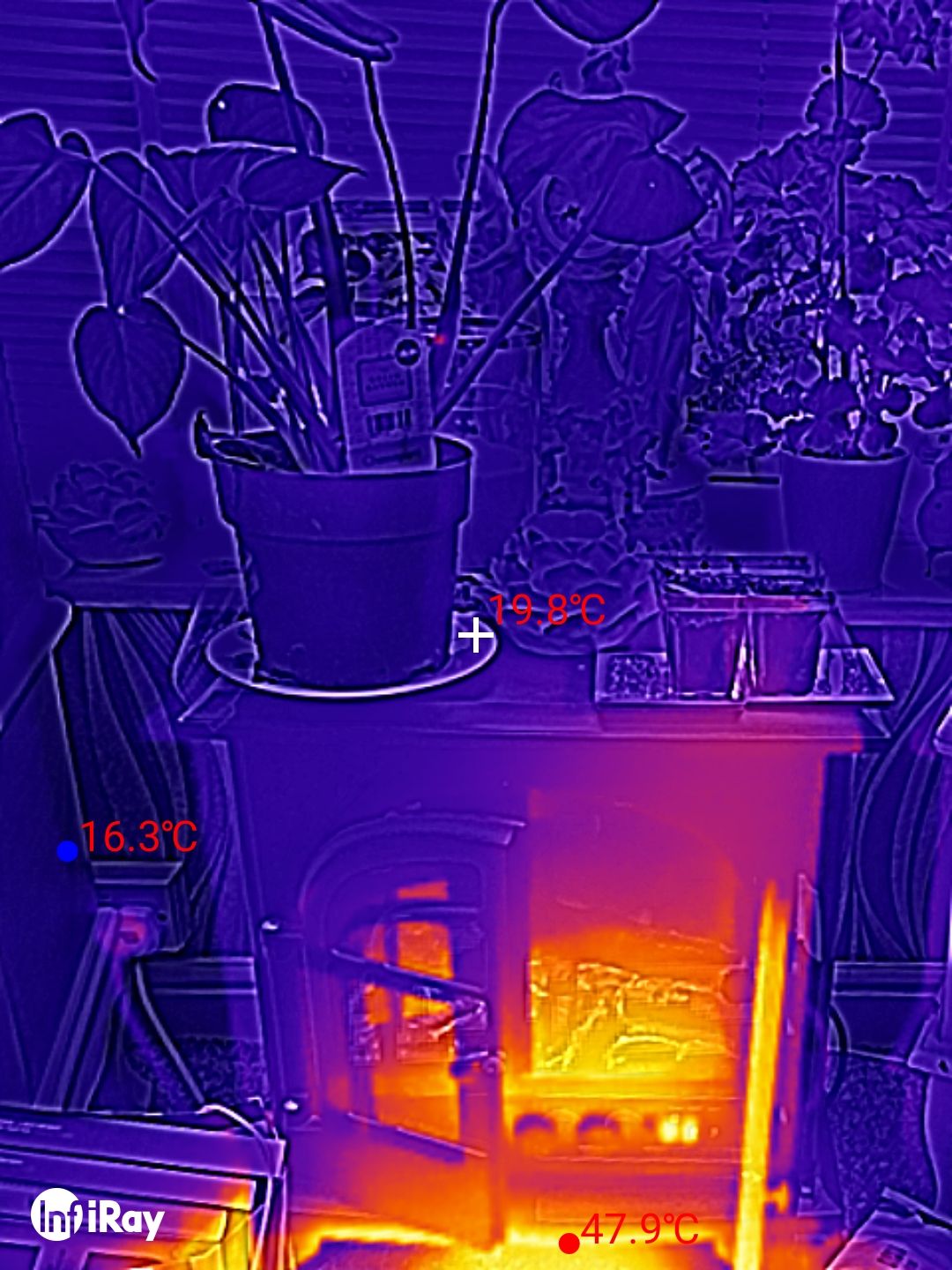 DOOGEE S98 Pro review: Thermal Imaging