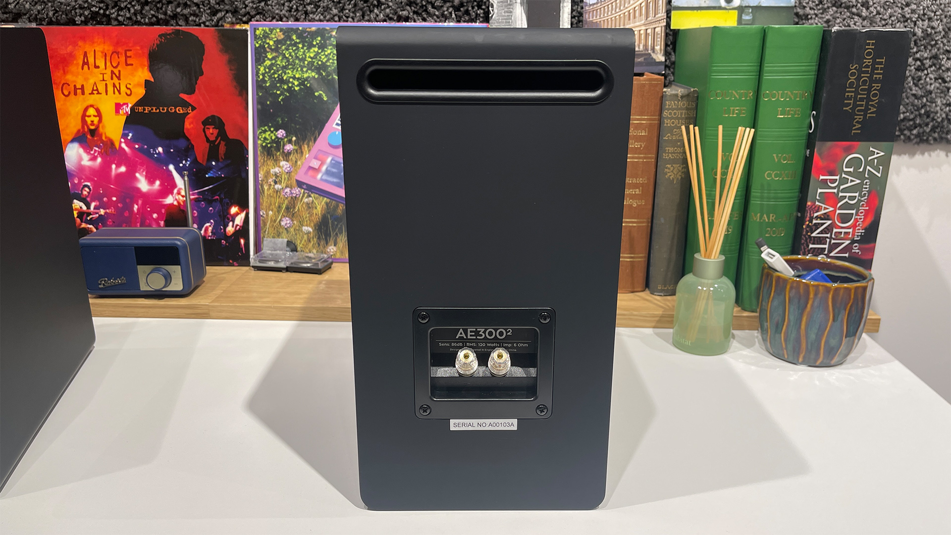 Acoustic Energy AE300 Mk2 standmount speakers on white surface in front of busy bookshelf showing rear of speaker and binding posts
