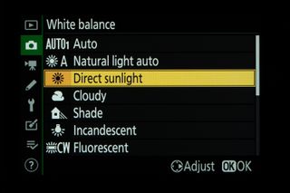 Nikon menu screen for white balance tutorial