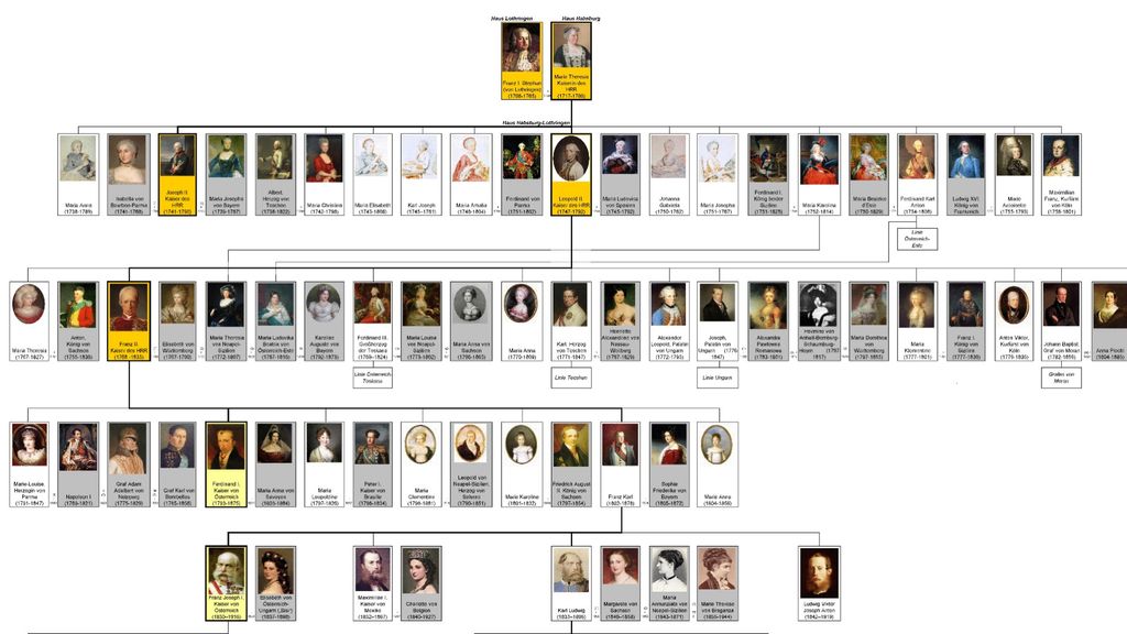 How Do Family Tree Work