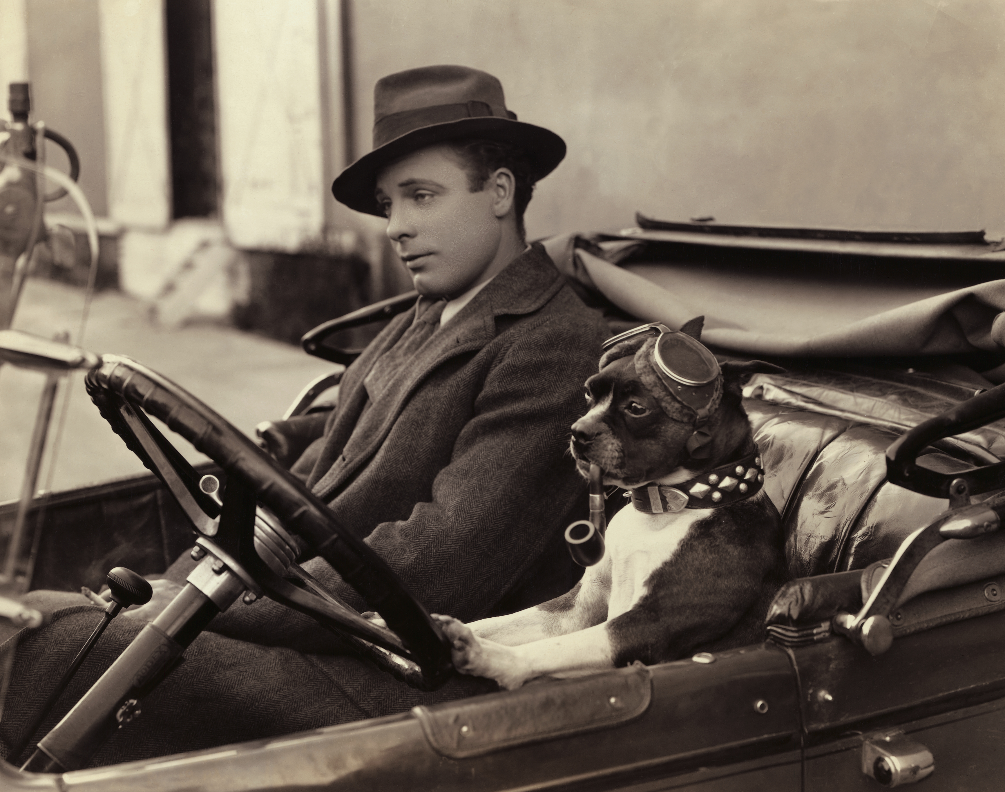 It’s your dog’s world and we’re just living in it: a sidecar and 14 more fabulous products for your canine companion