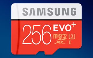 Samsung 256GB microSD card