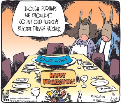 Political cartoon U.S. blue wave Democrats midterm elections Thanksgiving