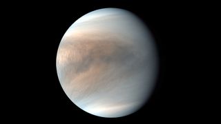 The day side of Venus covered in clouds, as seen by Japan's Akatsuki spacecraft.