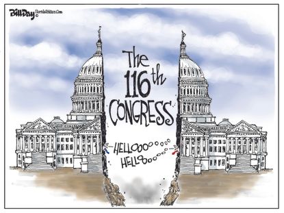Political Cartoon U.S. congress divided