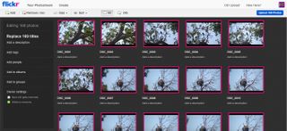 Flickr's upload process demonstrated in its user interface