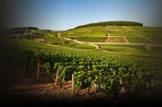 burgundy for christmas