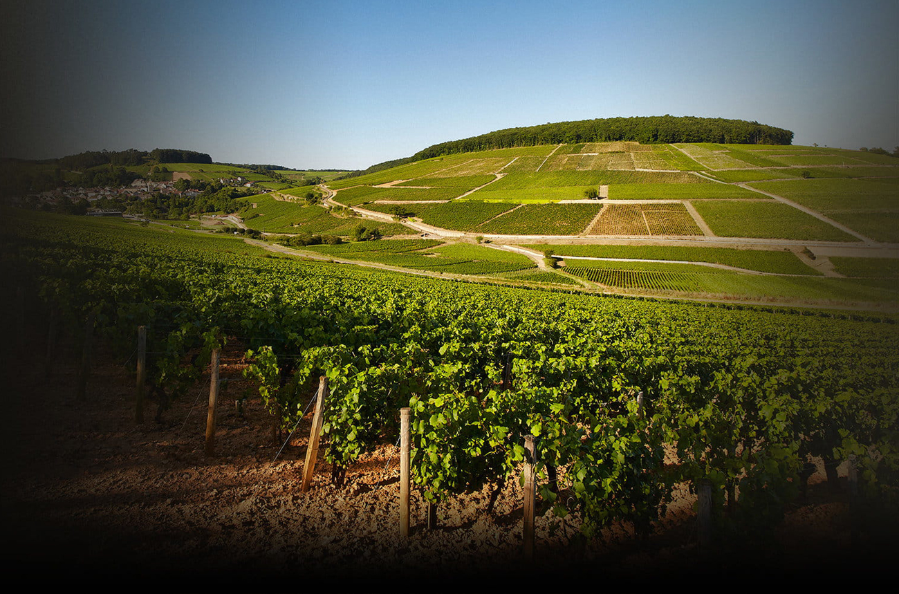 burgundy for christmas