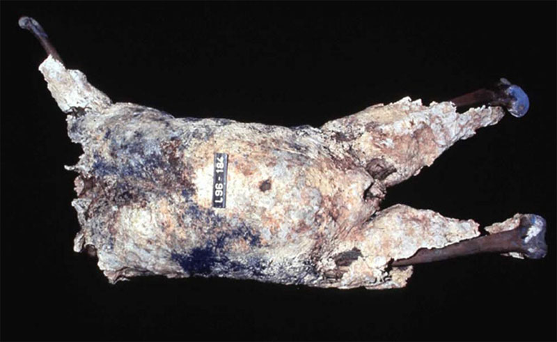 Goo of Death Helps Solve Mystery of Headless Corpse | Live Science