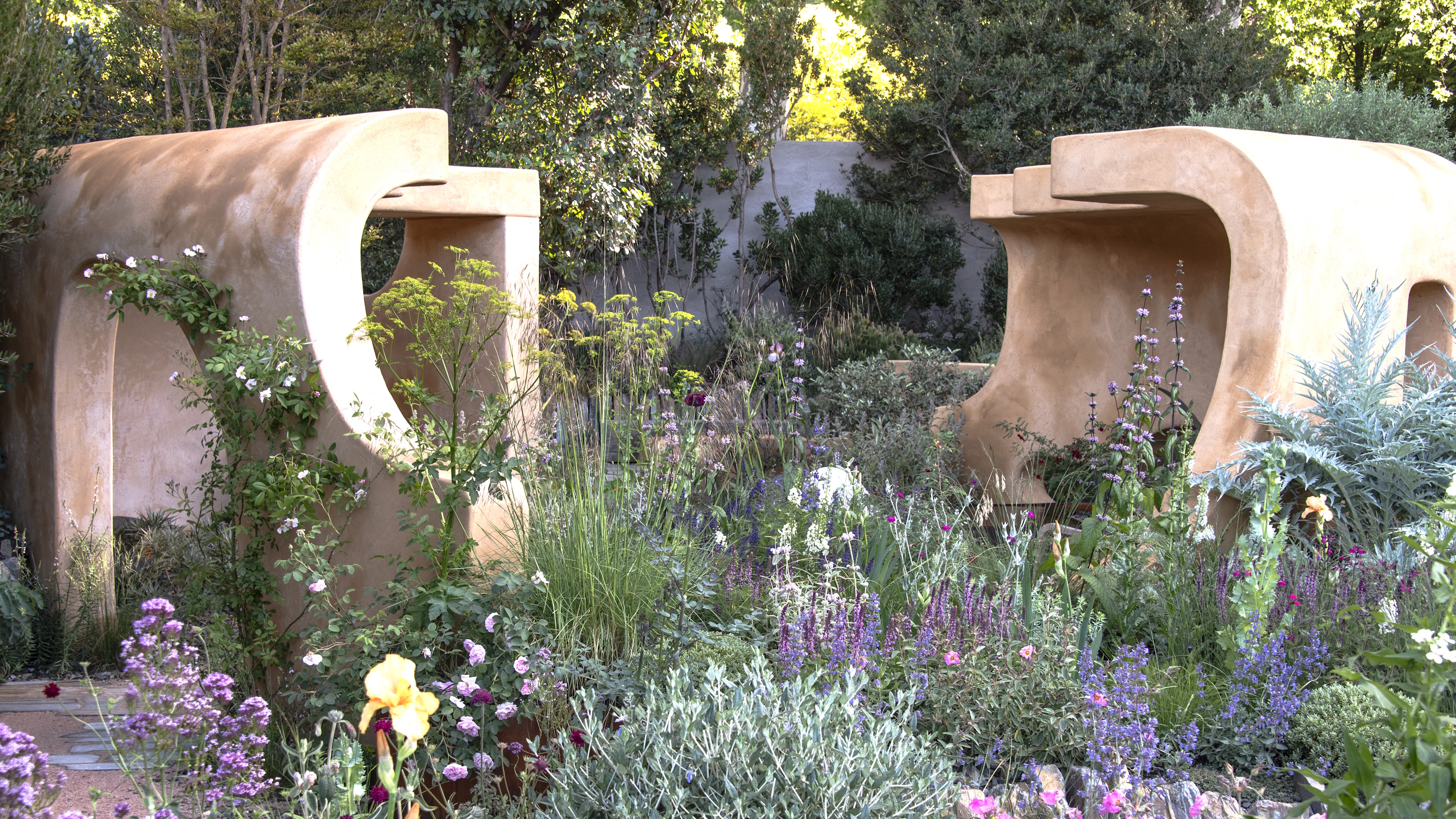A large, wild flower bed with salvias, iris, dill, and a terracotta structure in the background