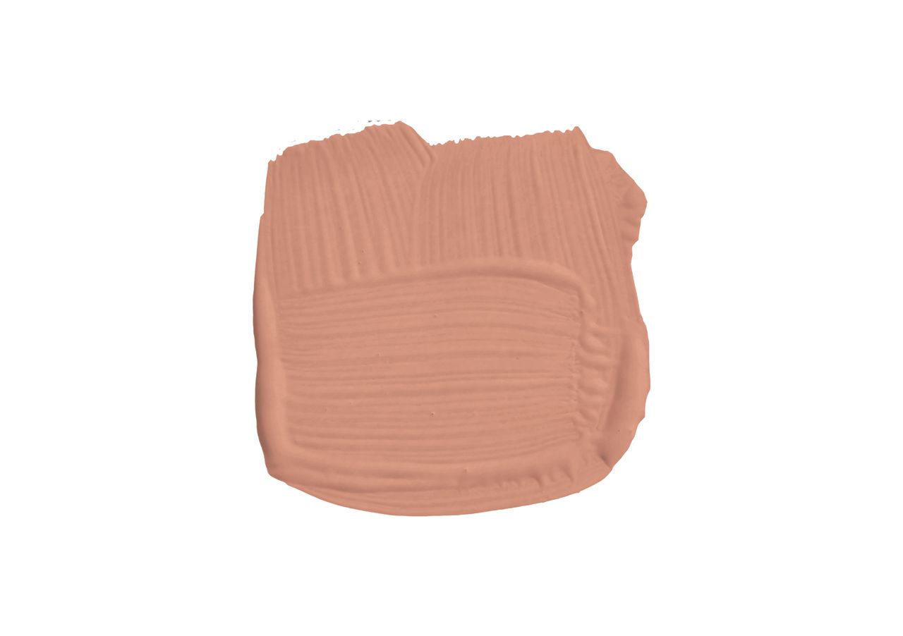 Swatch of a light salmon paint color