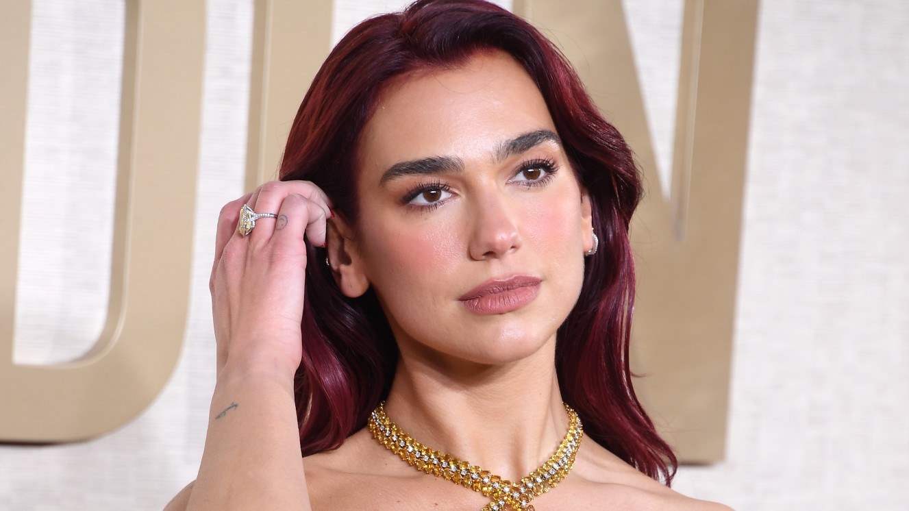 Dua Lipa, World-Famous and Grammy-Winning Singer, Reveals She Was Once ...