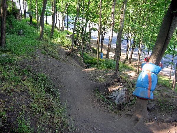 The Czech race