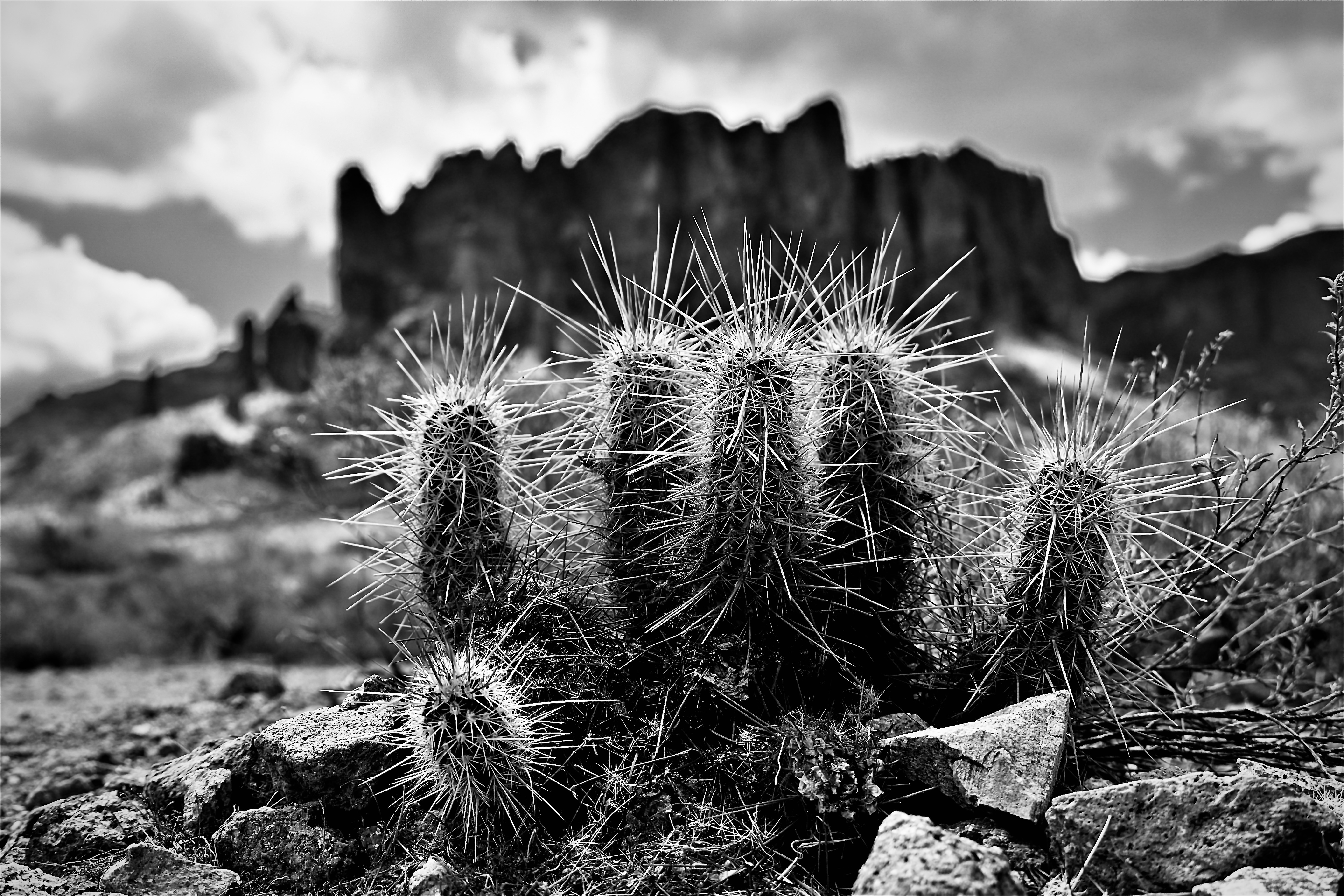 GuruShots - Monochrome Moments Jan 26