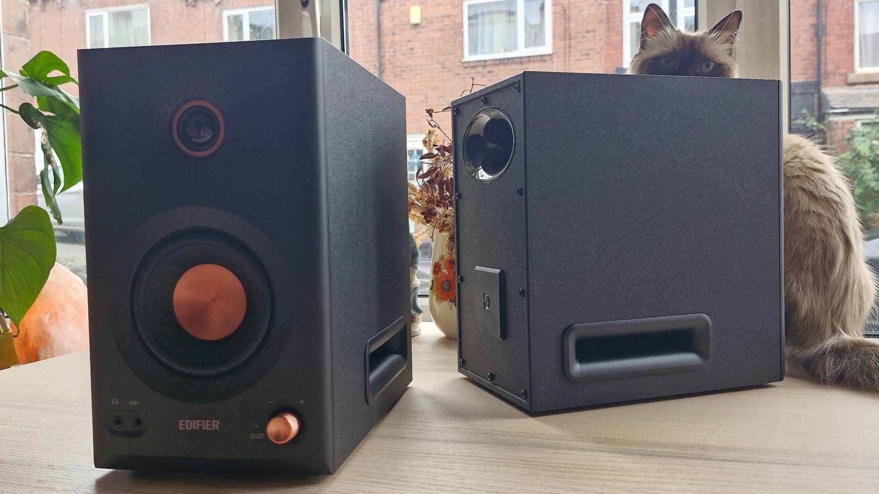 The Edifier MR5 monitor speaker on a table next to a cat.
