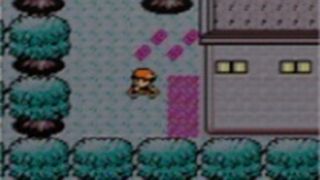 Pokemon Gold and Silver screenshot showing a trainer riding a bike