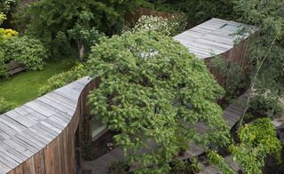 Tree House - a wooden curved building surrounded by trees