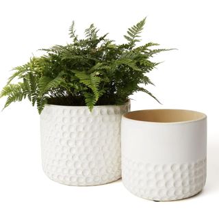 La Jolie Muse Ceramic Planter 