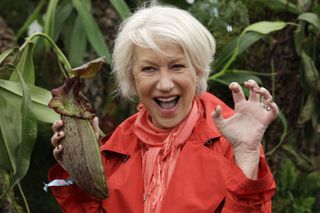 Helen Mirren poses with a new plant named in her honout at the Chelsea Flower Show in 2011