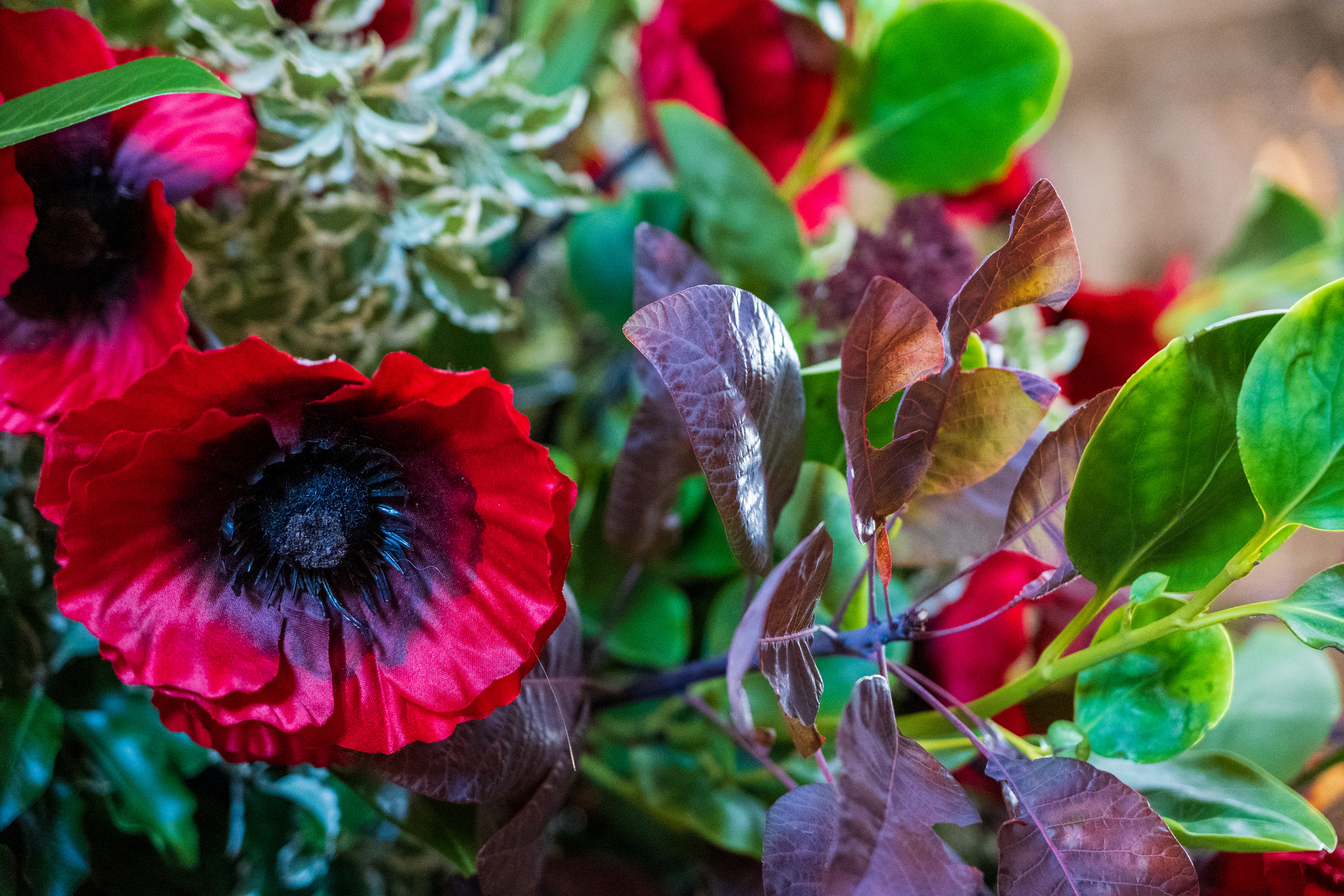 Nikon Z DX 16-50mm f/2.8 VR example shot