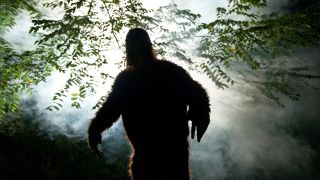 A shadowy image of a Bigfoot or Sasquatch in the forest with light and fog behind it. 