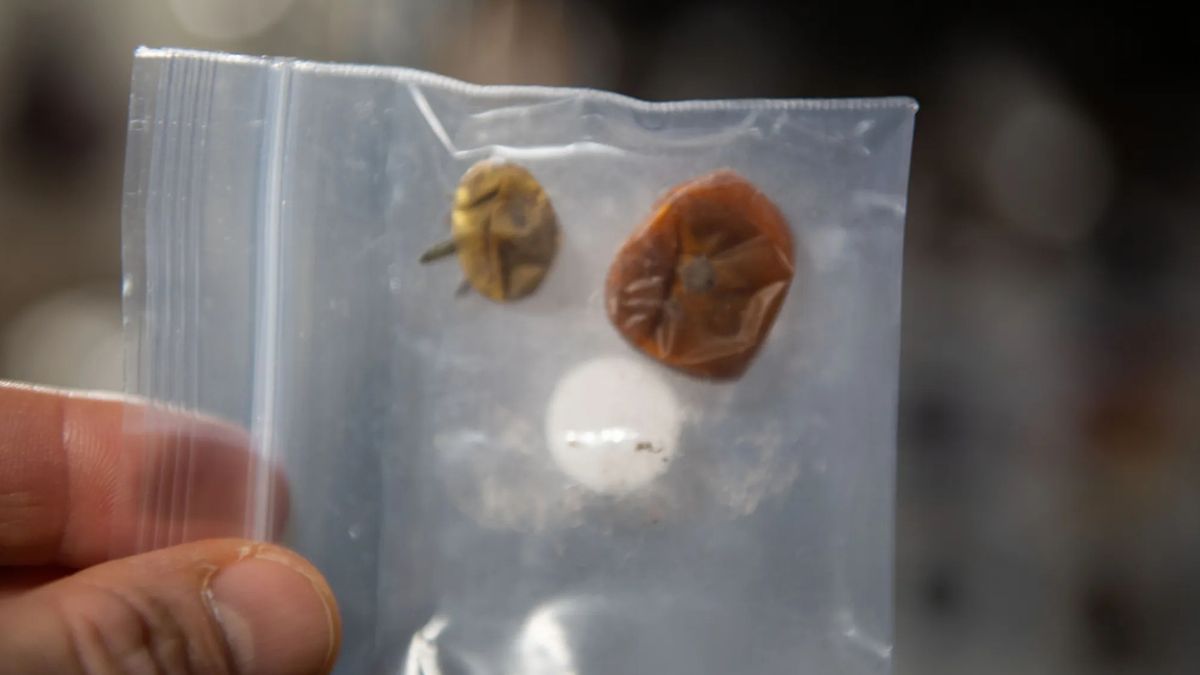 Two small tomatoes lost on the International Space Station in 2022 were found again, NASA revealed in December 2023.