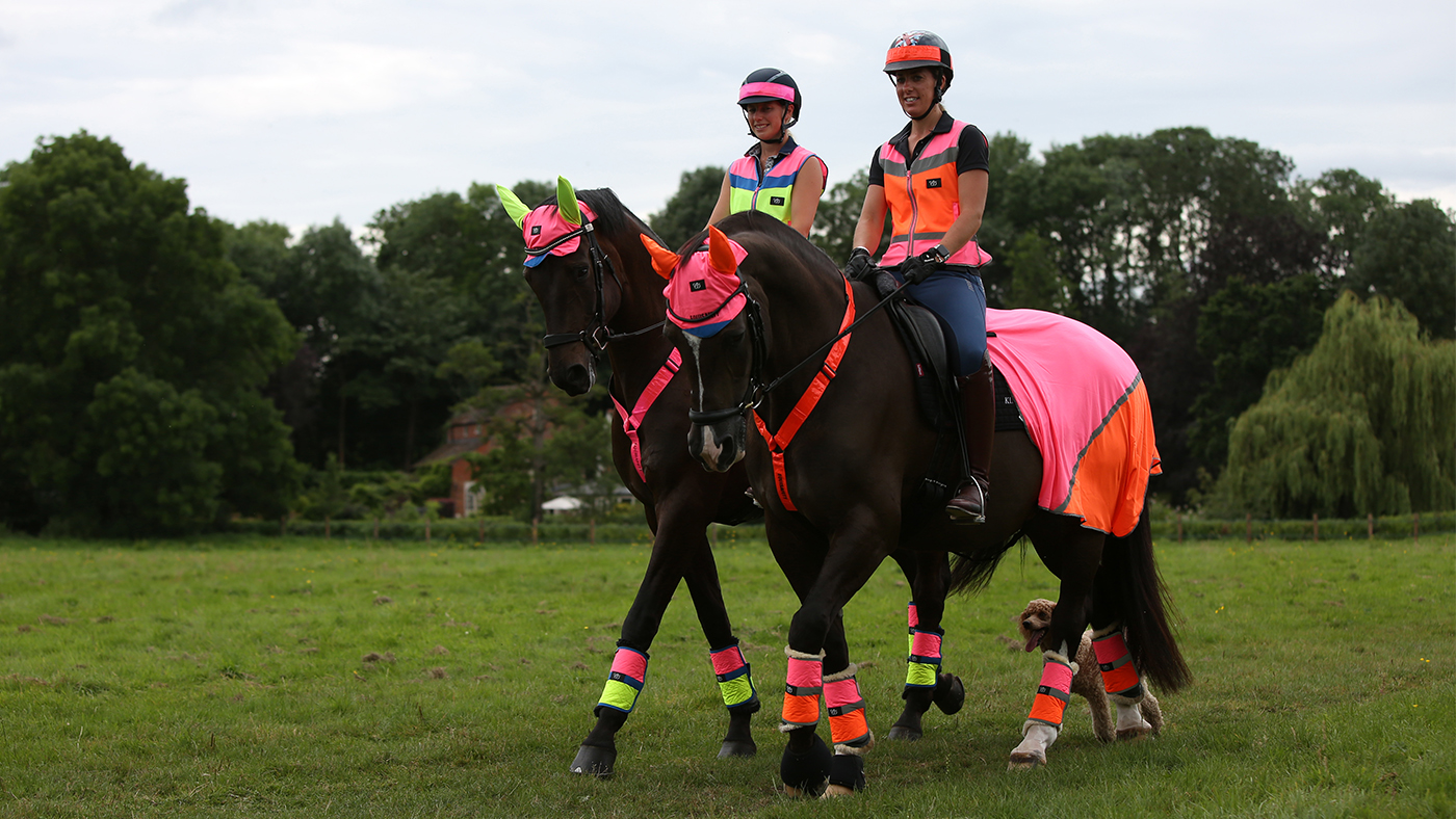 Hi-vis-for-horses-main.jpg