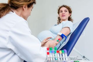 Doctor taking a blood sample from a pregnant woman.