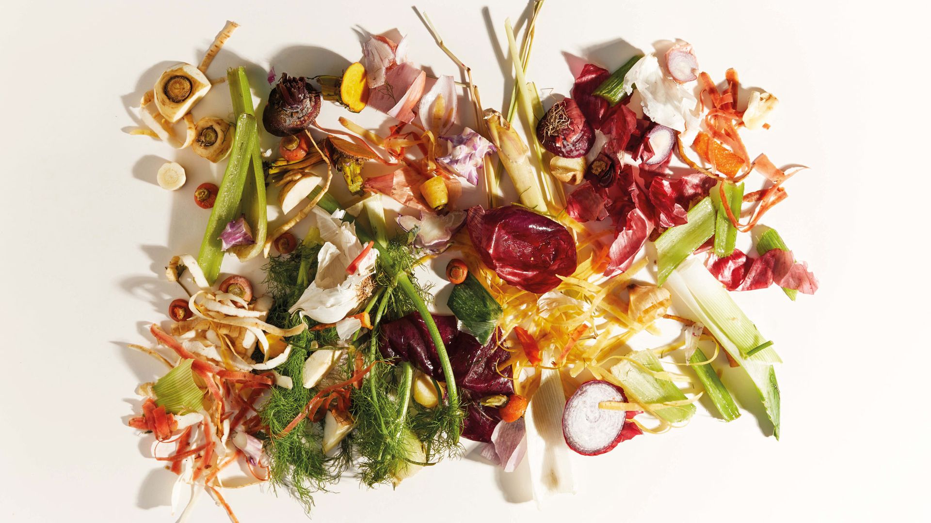 Sustainable living: vegetables on a plain background