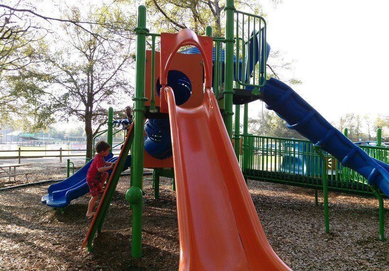 HTC One M9 sample pics