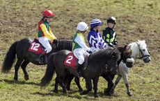 GettyImages-826650502.jpg