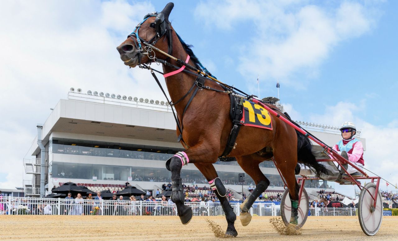 New Zealand Trotting Cup