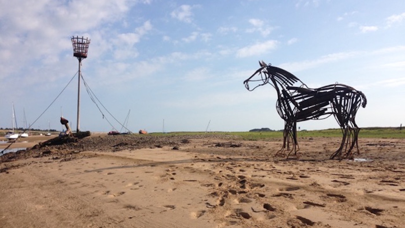 wells horse