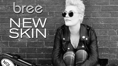 Bree New Skin album cover