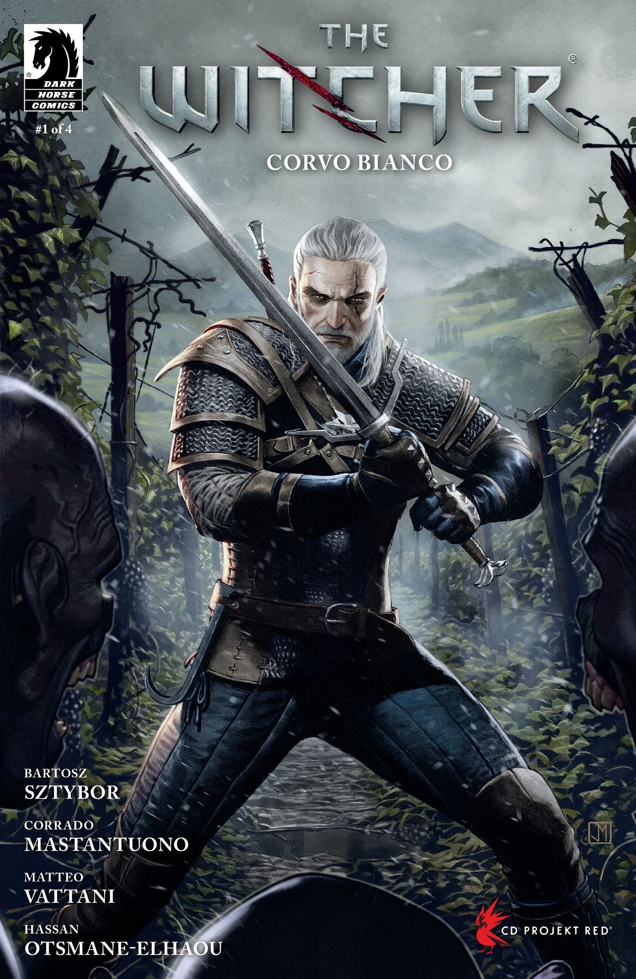 Art from The Witcher: Corvo Bianco