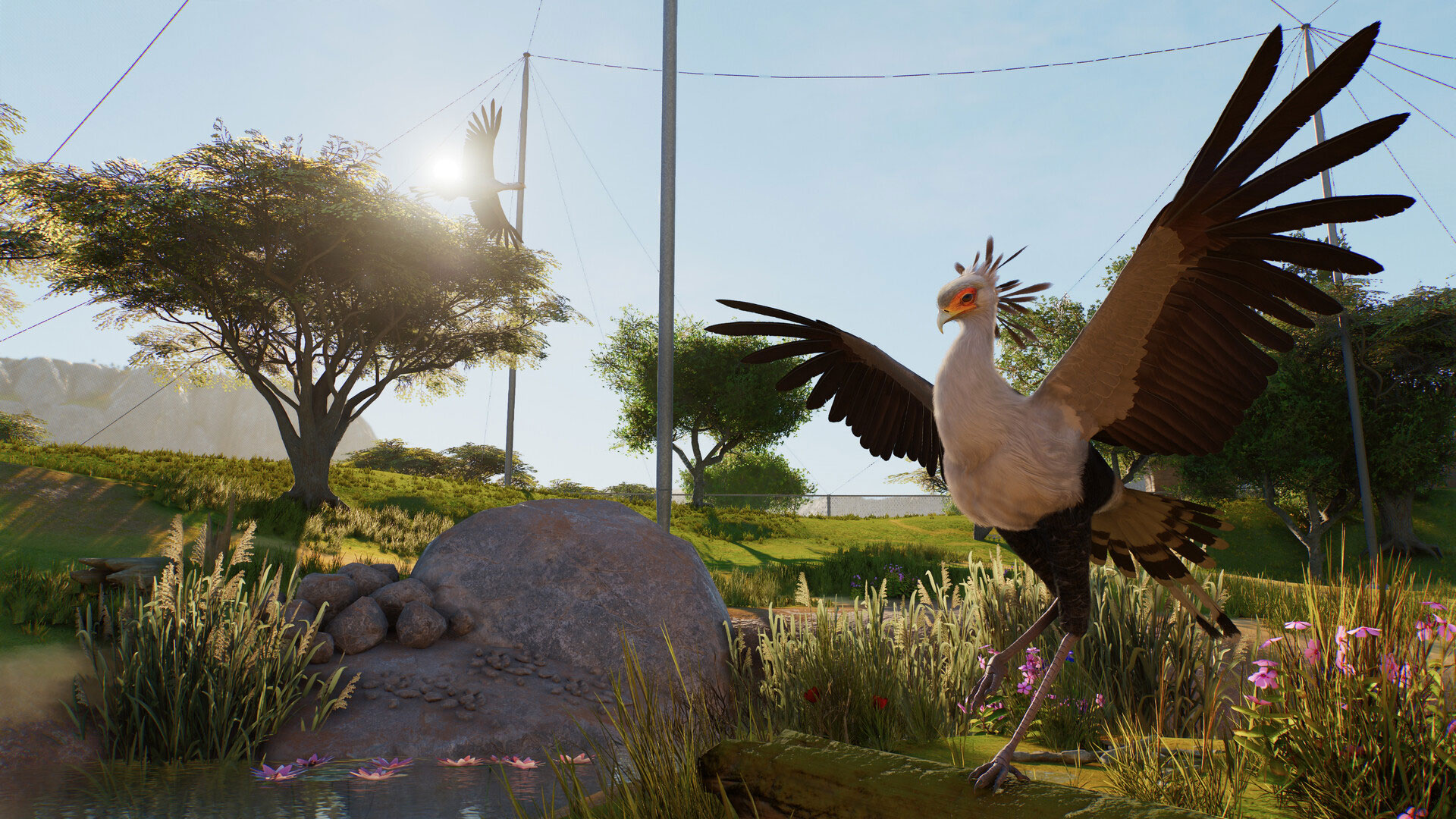 A Secretary bird spreading its wings in Planet Zoo 2