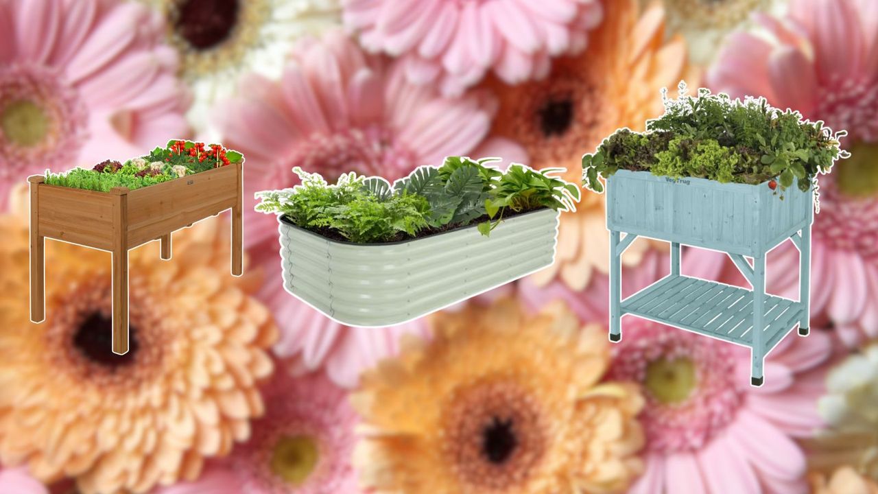 Three raised flower beds on a blurry floral pink background