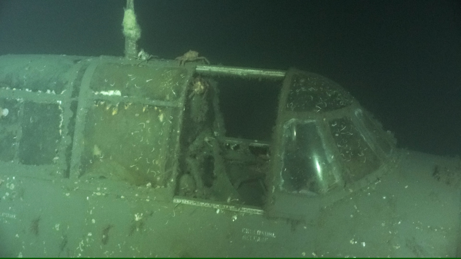 a close-up of a wrecked plane underwater