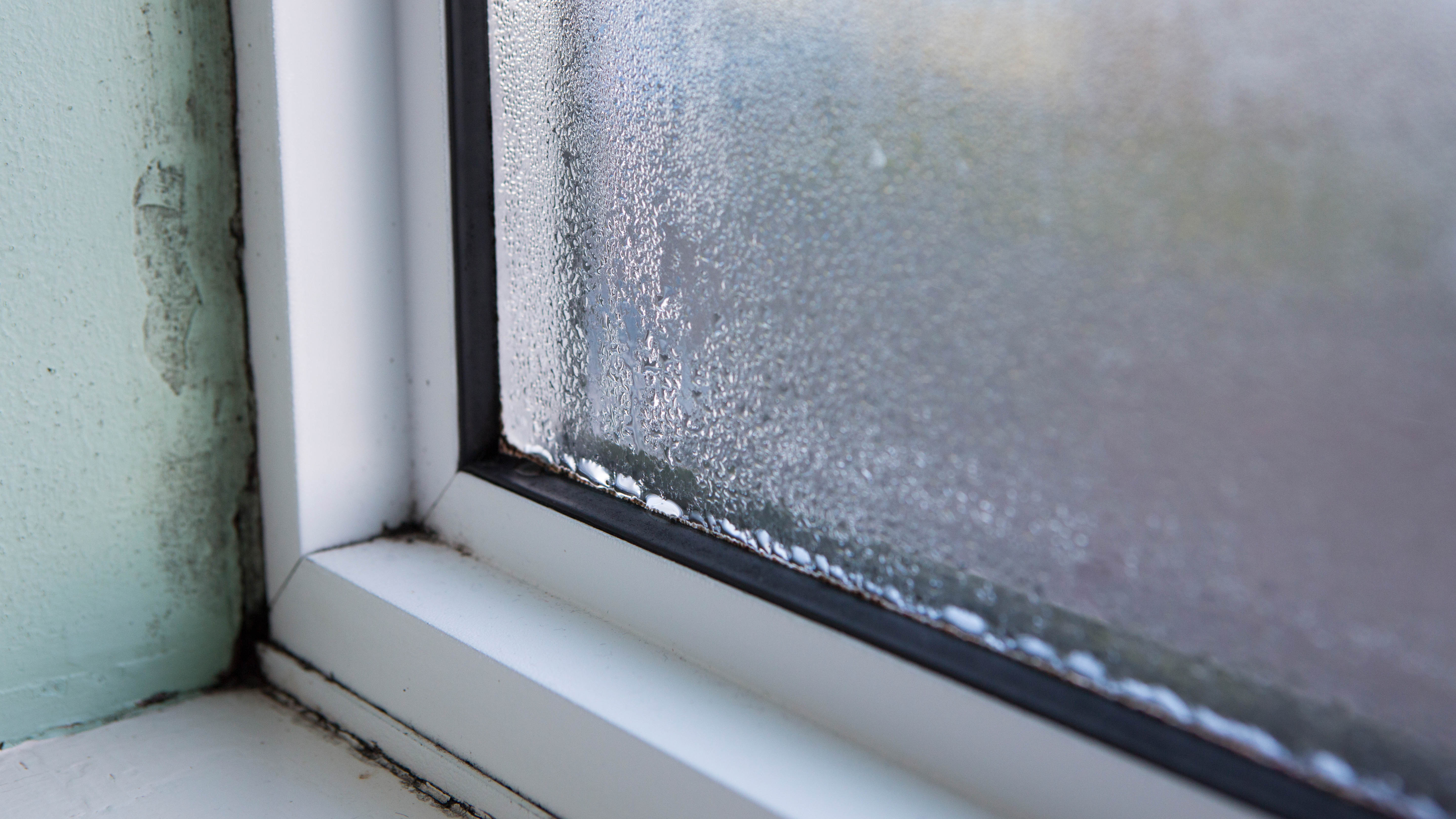 I'm a property expert - here's an easy way to remove condensation from  bedroom windows in the morning