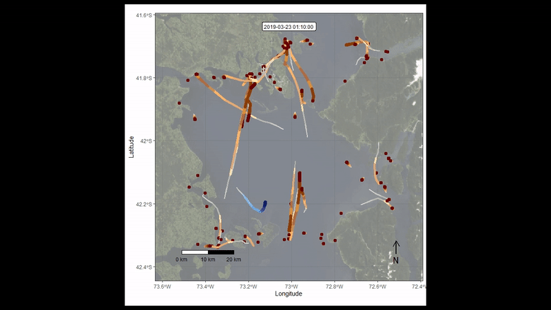 Scientific visualization of a blue whale&rsquo;s movements in an area with a high level of boat traffic. The blue shape is a whale trying to feed while avoiding vessels in the Gulf of Ancud near Chile.