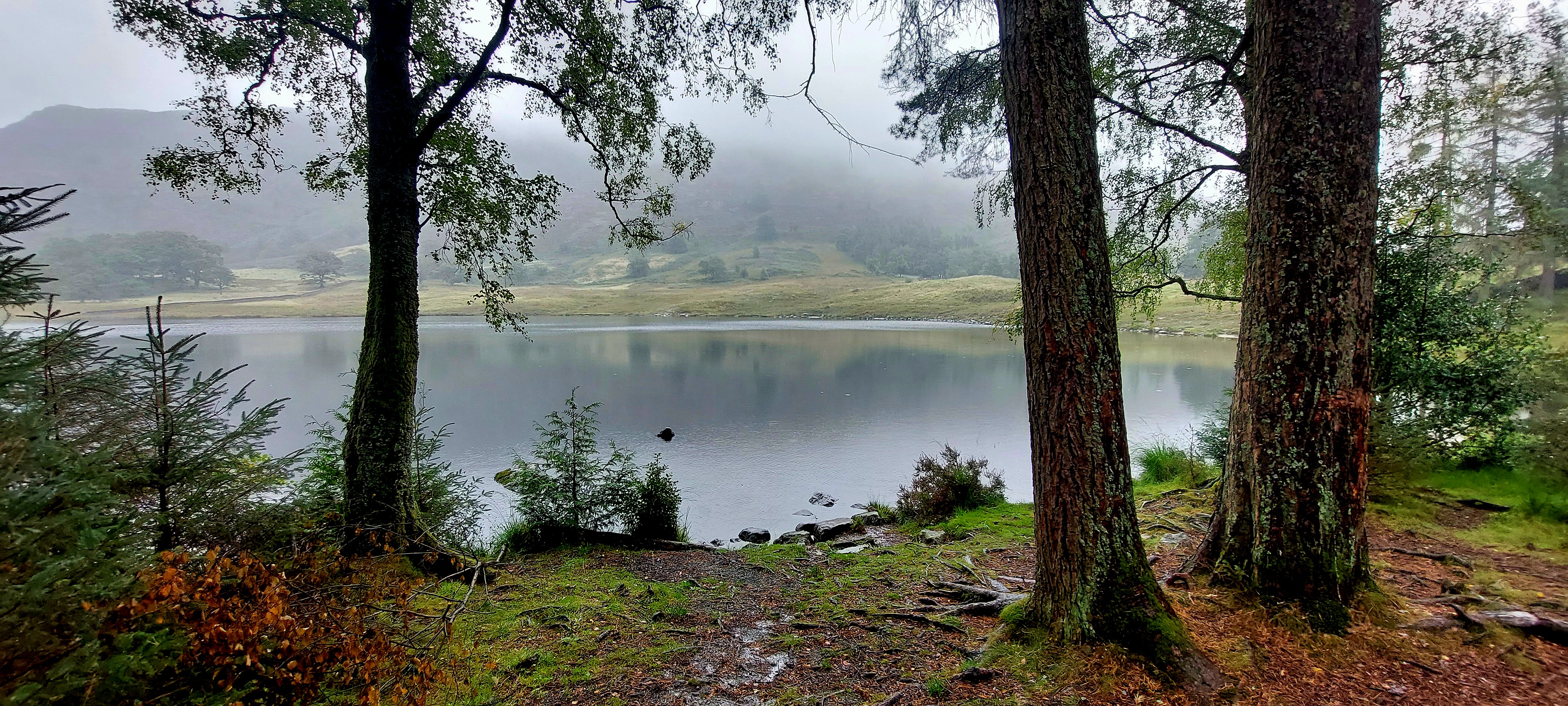 Views of Great Langdale