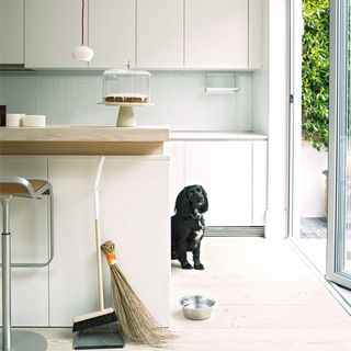 kitchen area with black dog and dinesen flooring with broom