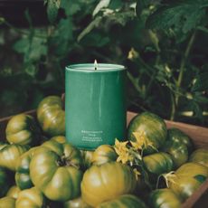 Jo Malone Green Tomato Vine Candle on a bed of green tomatoes