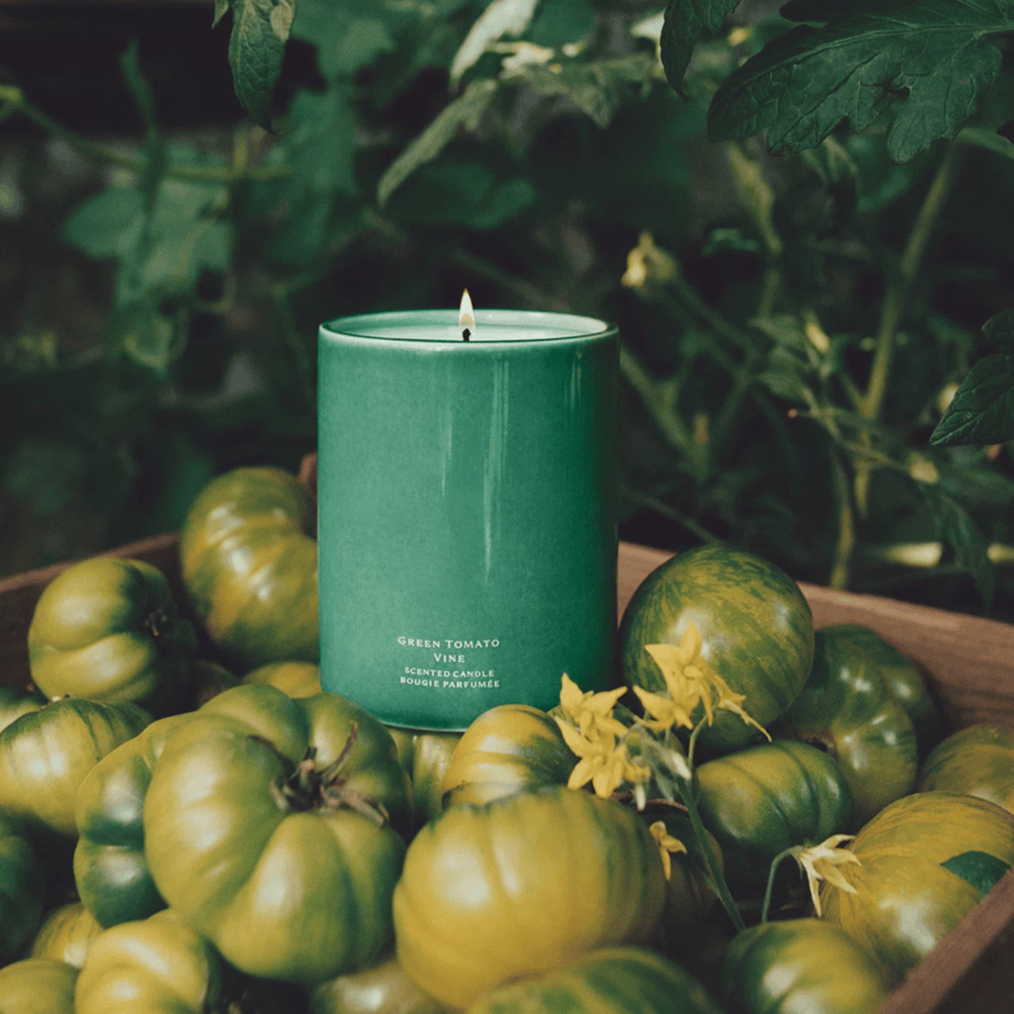 Jo Malone Green Tomato Vine Candle on a bed of green tomatoes
