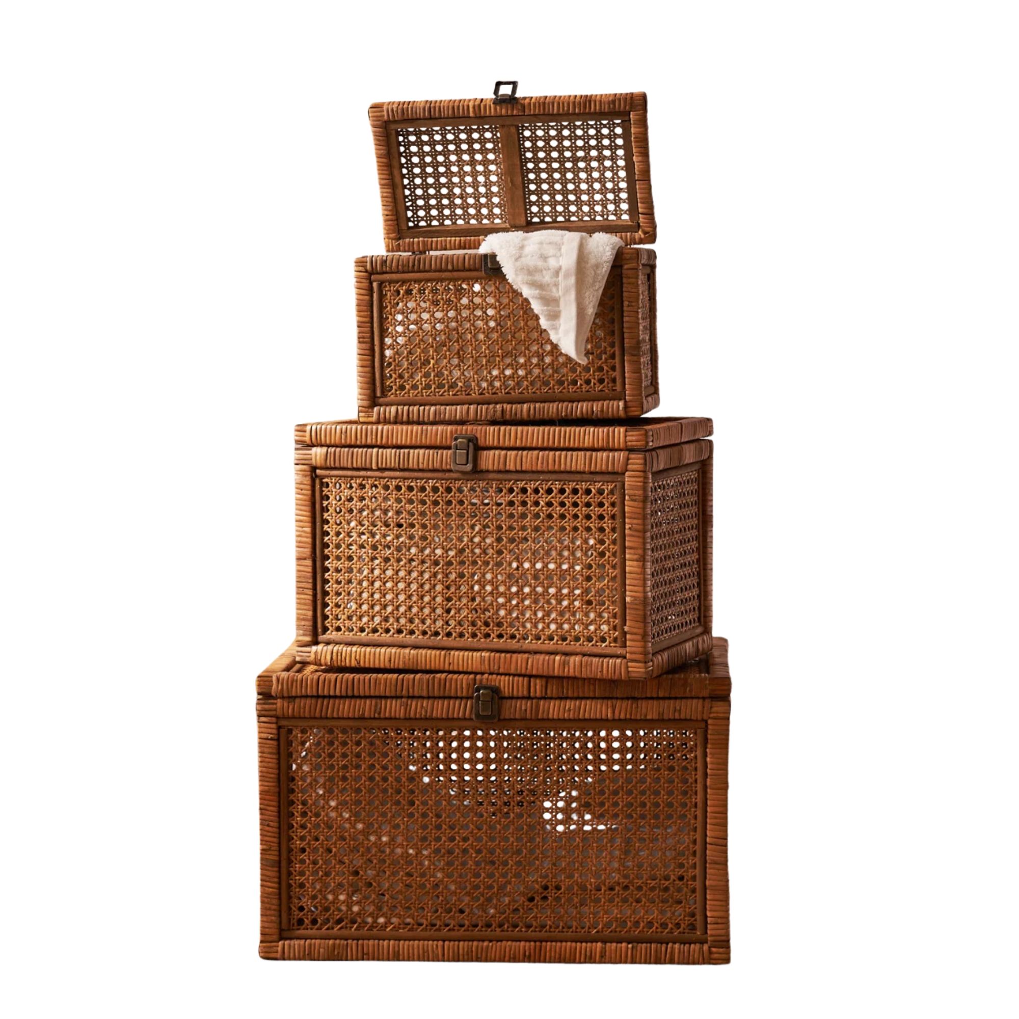 Rattan storage boxes
