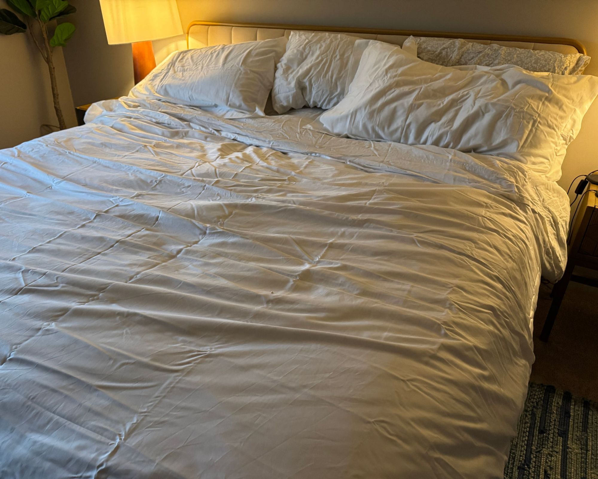 A white Avocado alpaca duvet insert photographed in a low-lit, cozy bedroom with white pillows and a white fluted headboard. To either side of the bed are warm lamps, and to the far left is a large houseplant.