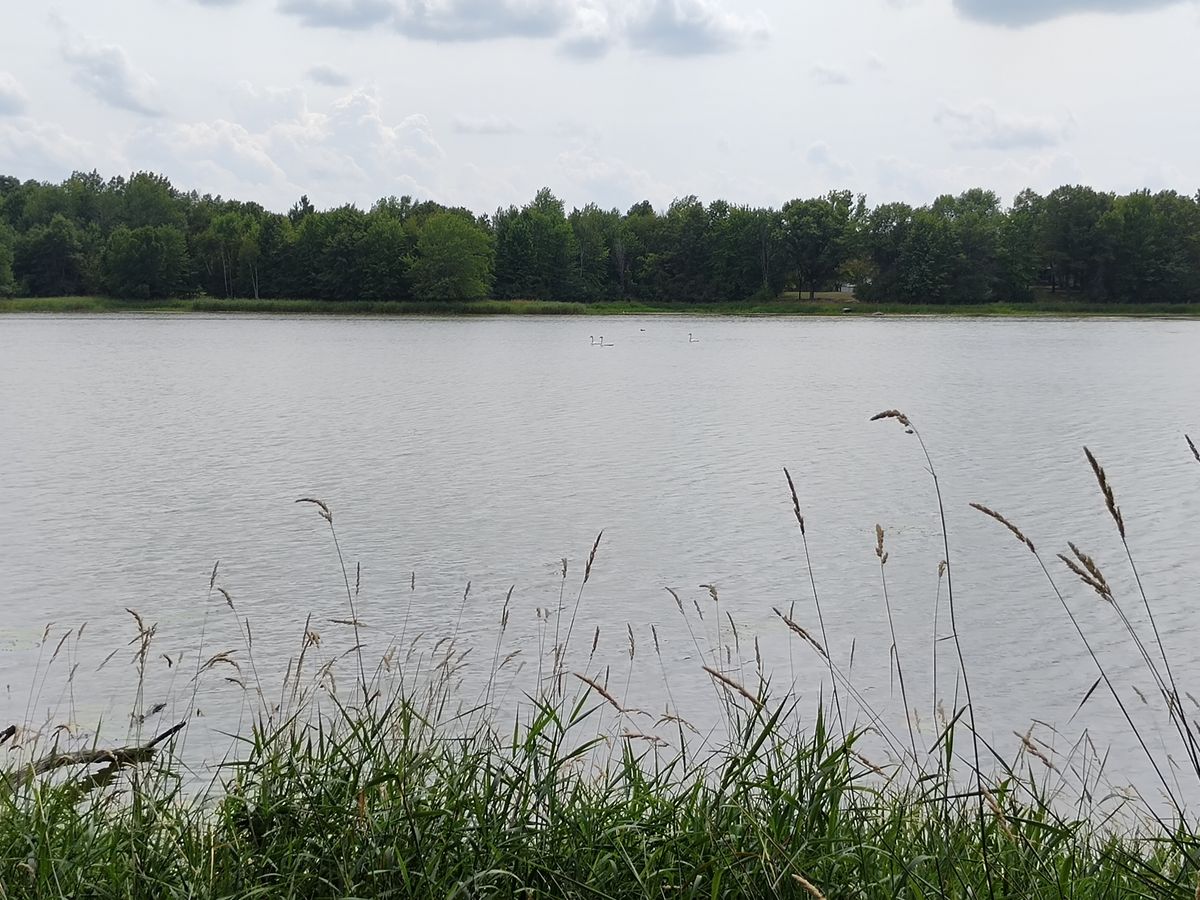 Motorola Razr Plus 2023 camera samples