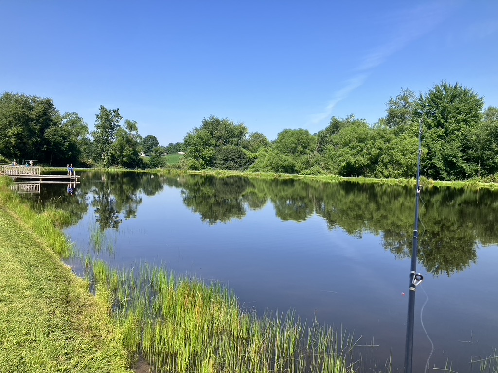 GuruShots - March 2026